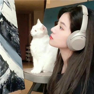 爱美丽狂想曲国语