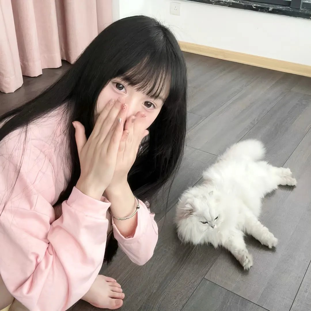 山海际会